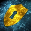 The 2013 Cyber Security Study Results