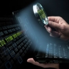 Survey Results: 2013 Faces of Fraud